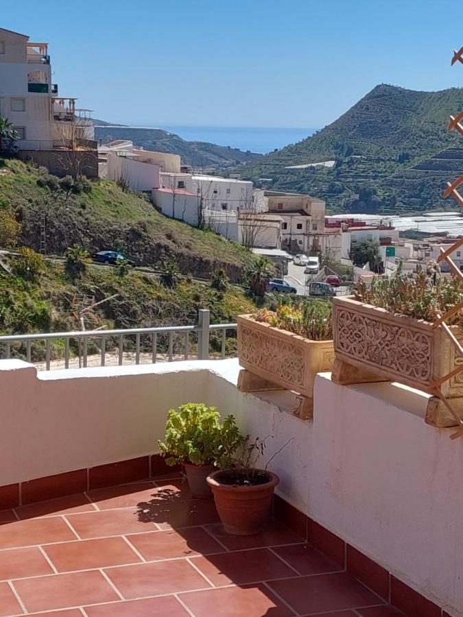 Casa Buenavista Albunol Lejlighed Eksteriør billede